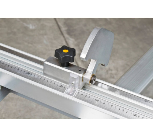 Форматно-раскройный станок Holzmann FKS 315VFN-3200, 400В